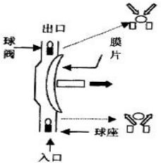 ��Ĥ�û�������ԭ��D��